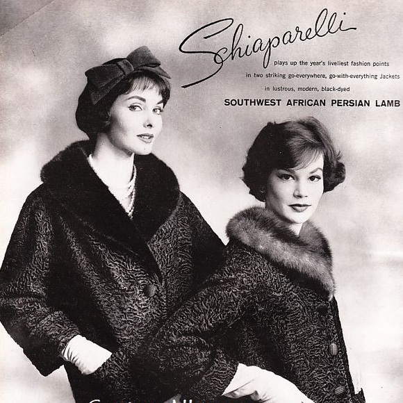 Elsa Schiaparelli Vintage Persian Lamb/Mink Coat - Picture 9 of 12